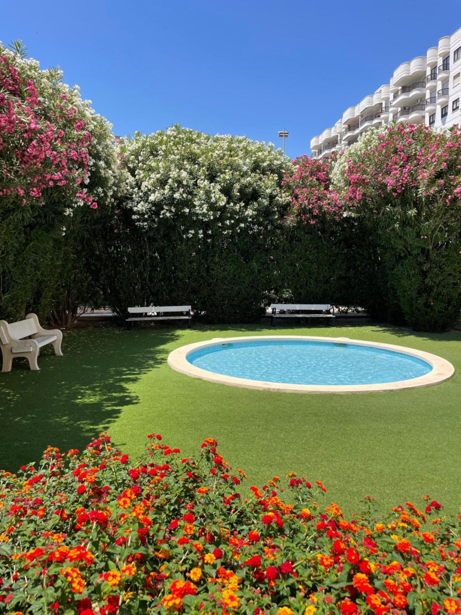 Gandia Boutique Stays - Presidente - Apartamento Premium En Primera Linea De Playa מראה חיצוני תמונה